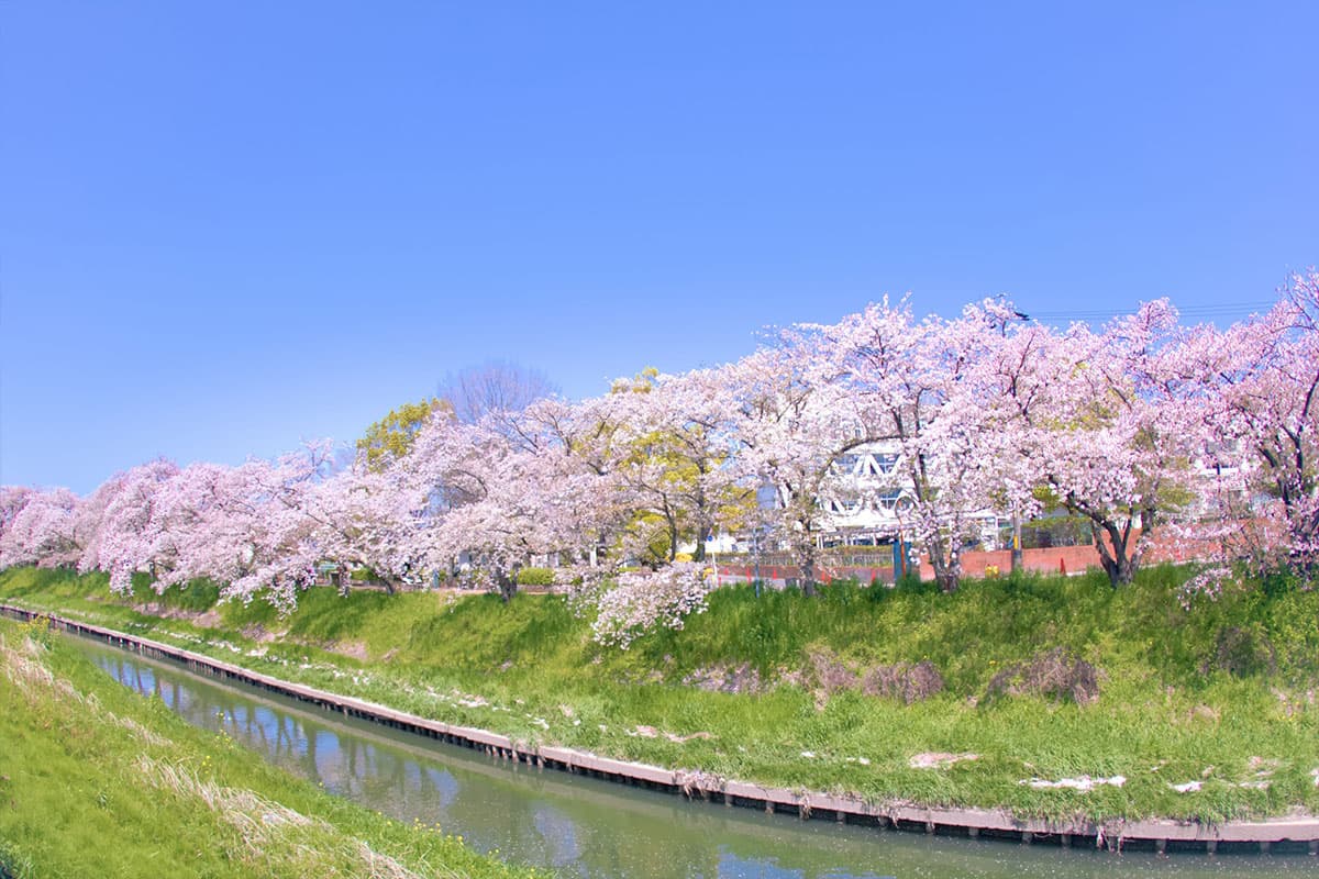 岩倉市のキャンペーン画像