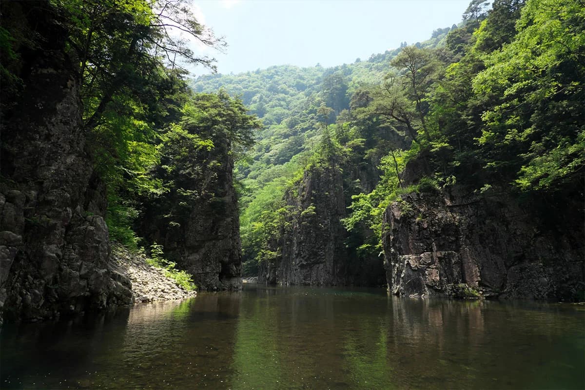 広島県北広島町のPayPay最大20%還元キャンペーン画像