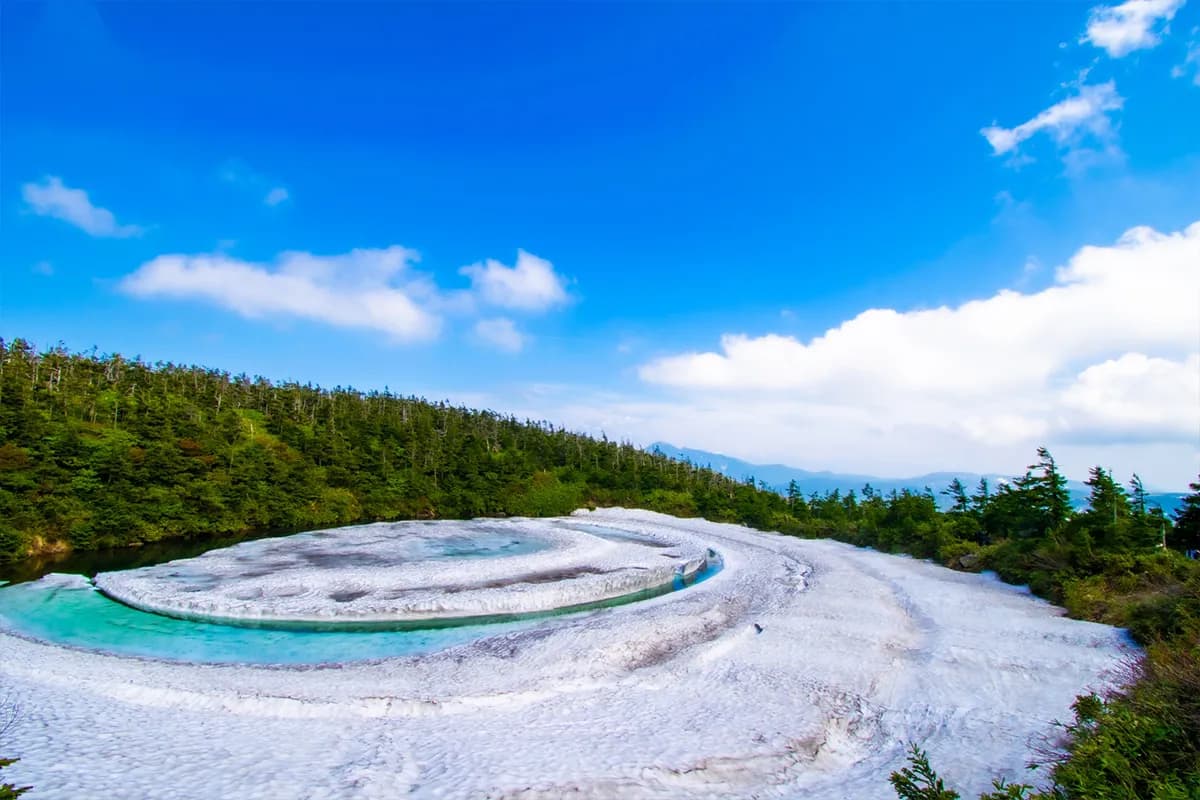 岩手県八幡平市のPayPay最大20%還元キャンペーン画像