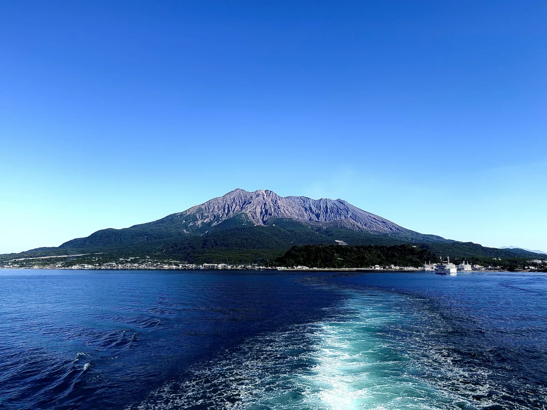 鹿児島県鴨池商店街のd払い最大20%還元キャンペーン画像