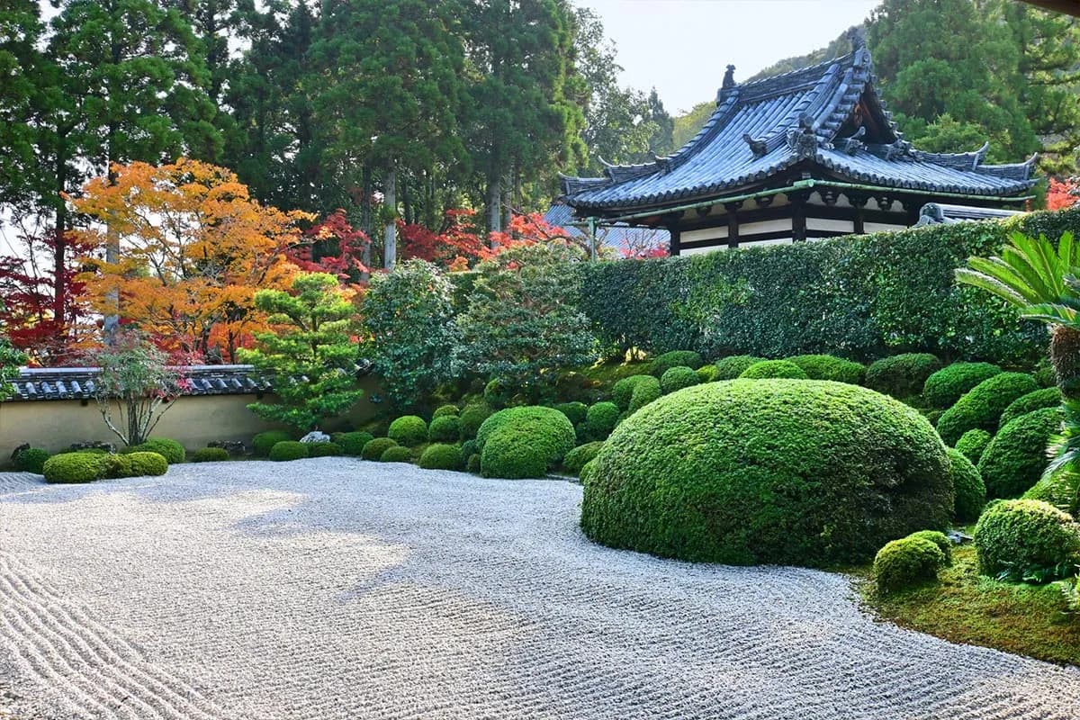 京都府京田辺市のPayPay最大20%還元キャンペーン画像