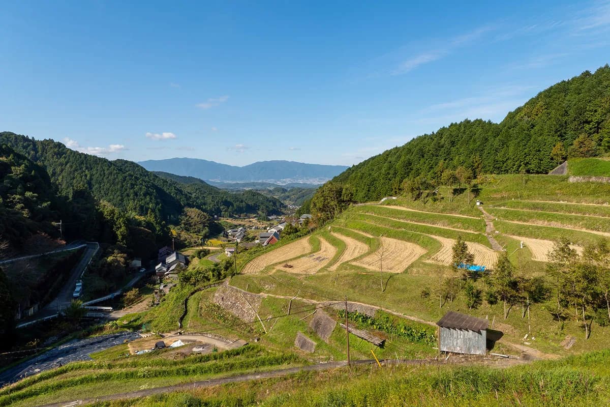 奈良県葛城市のau PAY最大25%還元キャンペーン画像